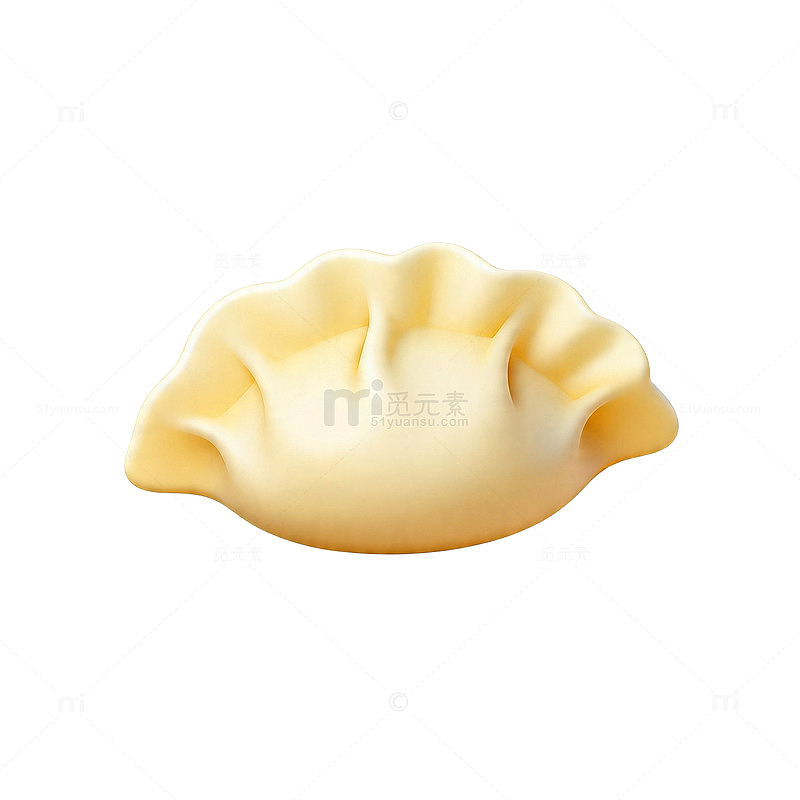 逼真饺子食品插画素材