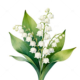 插画风铃草花卉设计元素