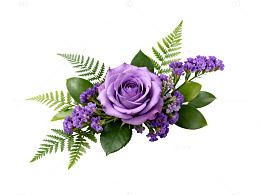 紫玫瑰花束盆栽花艺设计素材