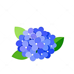 卡通风格绣球花插画设计元素