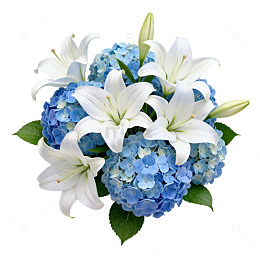 清新百合绣球花束