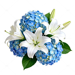 清新花卉组合插画设计素材