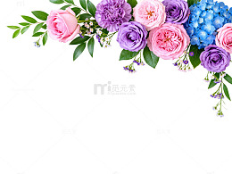 缤纷花卉装饰设计素材