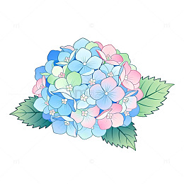 水彩绣球花插画设计元素