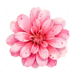 水彩粉红花瓣装饰画
