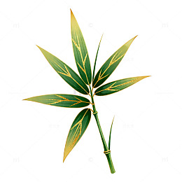 竹叶绿色植物插画元素