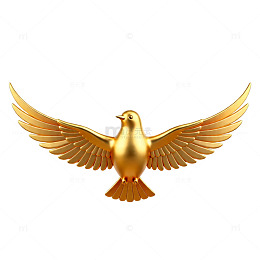 金色和平鸽艺术插画