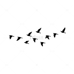 黑白飞鸟图案剪影