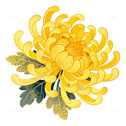 工笔菊花装饰画