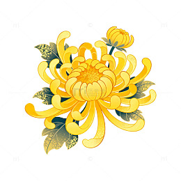 金黄色菊花矢量图案插画