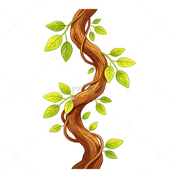 棕褐色木质藤蔓搭配嫩绿叶片插画
