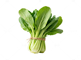 新鲜青菜蔬菜片