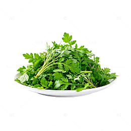 清新香菜绿叶美食片