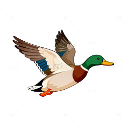 卡通绿头鸭飞行矢量图