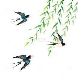 燕子飞翔水彩画
