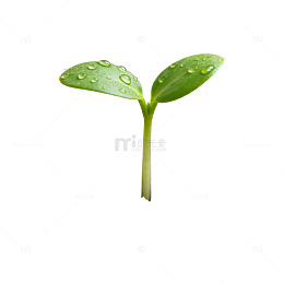 生命新芽土壤培育