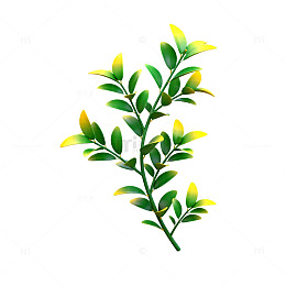 清新绿叶插画装饰图案