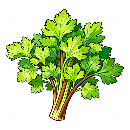 卡通风绿色芹菜插画素材