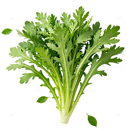 新鲜绿叶蔬菜片