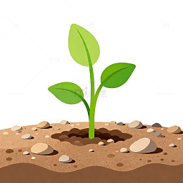 卡通植物生长插画