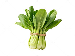 新鲜青菜蔬菜