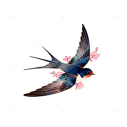 燕子樱花手绘插画