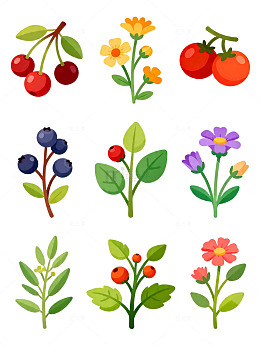 卡通植物果实插画素材集