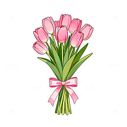 郁金香花束插画素材