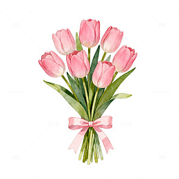 水彩粉色郁金香花束