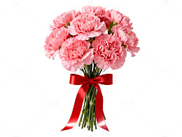 粉红色康乃馨花束图片