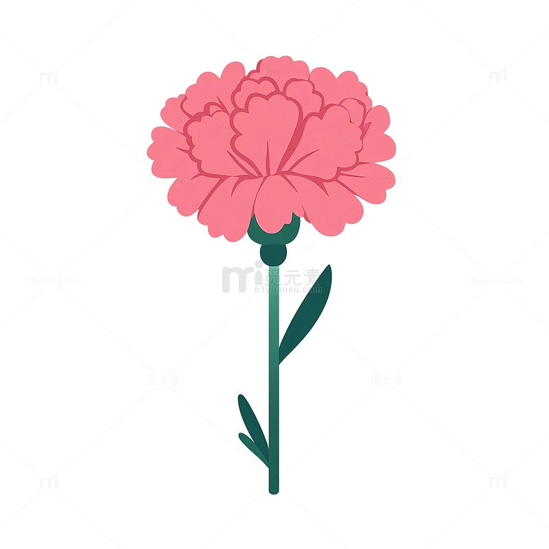 柔情似水的粉色花朵奇迹