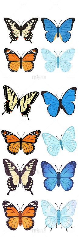 可爱扁平风格蝴蝶元素