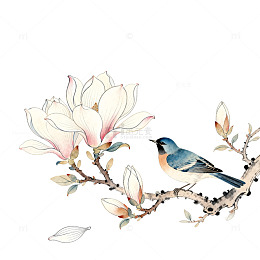 工笔画风格玉兰花鸟艺术插画