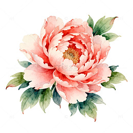水彩牡丹花卉装饰画