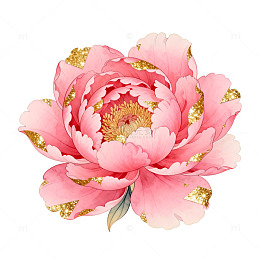 水彩粉色牡丹花装饰图案
