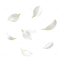 白色花瓣圆形排列设计素材