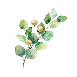 水彩绿植花卉装饰图案
