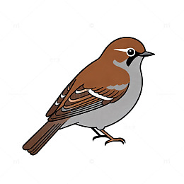 卡通风格麻雀插画素材