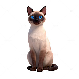 3D动画暹罗猫坐姿模型