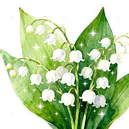 水彩风铃草花卉插画