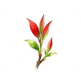 春日新芽阳光插画