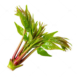 新鲜绿叶蔬菜图