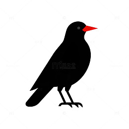 简约黑白鸟插画