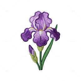 紫色鸢尾花刺绣图案
