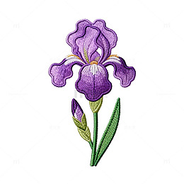 紫色鸢尾刺绣图案