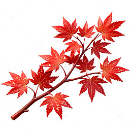 红叶树枝秋日插画