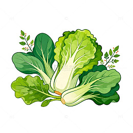 卡通风格青菜图案插画