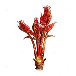 红色植物插画素材