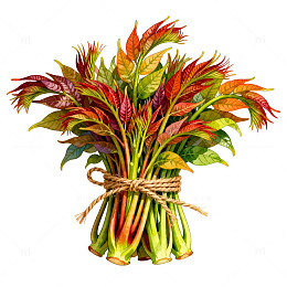 彩色植物插画束捆绑素材
