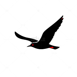 简约黑白飞鸟插画图标